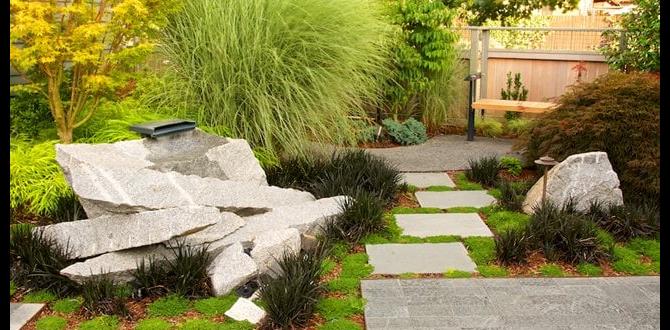 Common mistakes to avoid in rock garden design rock designs for gardens Common mistakes to avoid in rock garden design rock designs for gardens