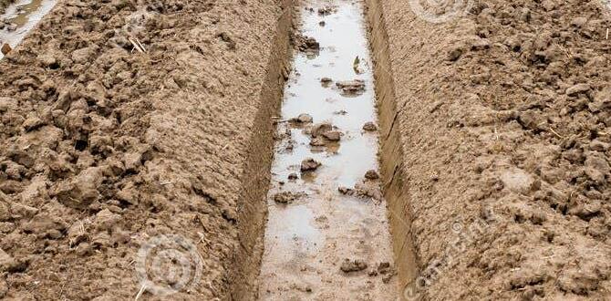 Common mistakes to avoid in soil mixture soil mixture for container gardening Common mistakes to avoid in soil mixture soil mixture for container gardening