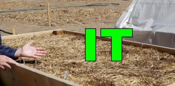 Common mistakes to avoid materials for raised bed gardens Common mistakes to avoid materials for raised bed gardens