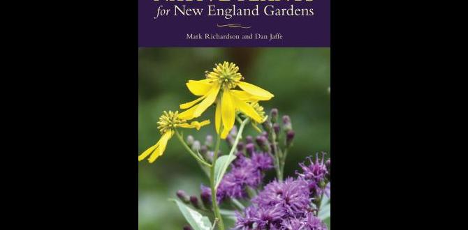 Common mistakes to avoid native plants for new england gardens Common mistakes to avoid native plants for new england gardens