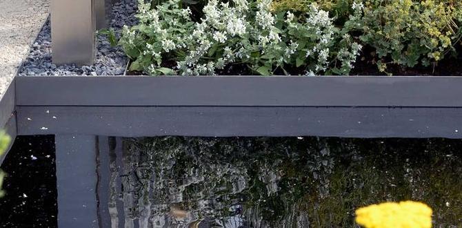 Common mistakes to avoid plant borders for gardens