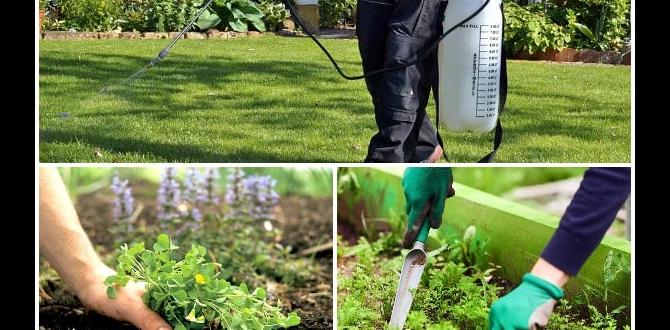 Common mistakes to avoid weed matting for gardens Common mistakes to avoid weed matting for gardens