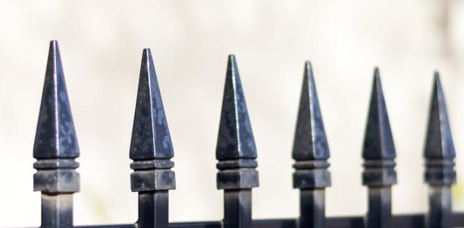 Common mistakes to avoid when choosing black metal fencing black metal fencing for gardens Common mistakes to avoid when choosing black metal fencing black metal fencing for gardens