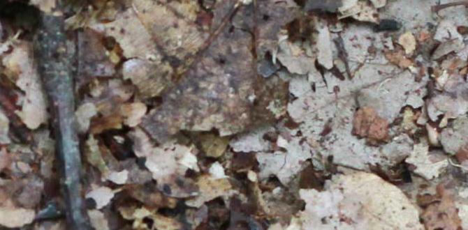 Common mistakes to avoid when composting compost for gardening Common mistakes to avoid when composting compost for gardening