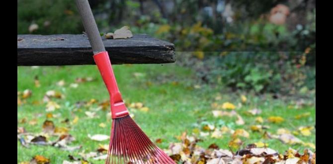 Common mistakes to avoid when using a rake rakes for gardening Common mistakes to avoid when using a rake rakes for gardening