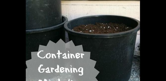 Common mistakes to avoid when using black sheets black sheet for gardening Common mistakes to avoid when using black sheets black sheet for gardening
