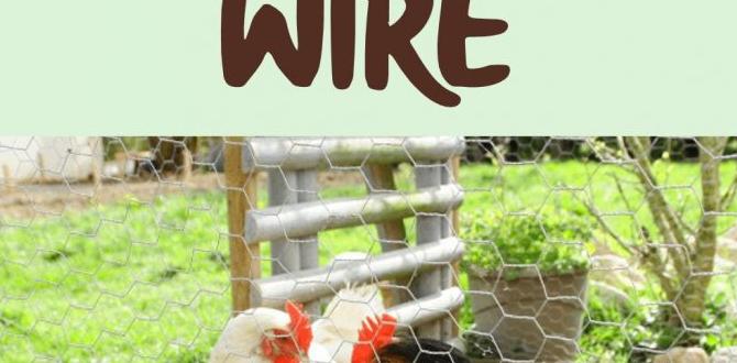 Common mistakes to avoid when using chicken wire chicken wire for gardening Common mistakes to avoid when using chicken wire chicken wire for gardening