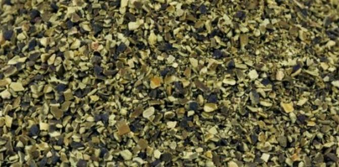 Common mistakes to avoid when using kelp kelp for gardening Common mistakes to avoid when using kelp kelp for gardening