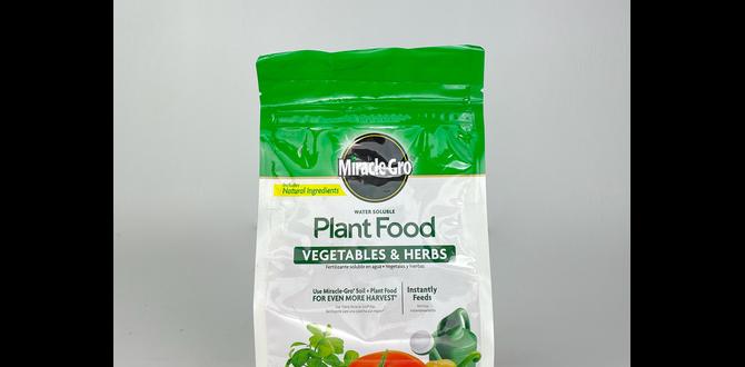 Common mistakes to avoid when using miraclegro miracle gro for vegetable gardens Common mistakes to avoid when using miraclegro miracle gro for vegetable gardens