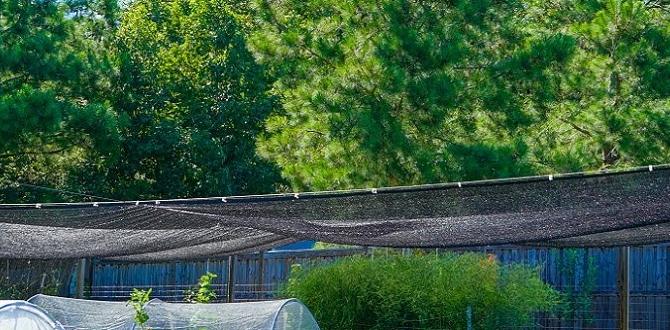 Common mistakes to avoid when using shade cloth shade cloth for gardens Common mistakes to avoid when using shade cloth shade cloth for gardens
