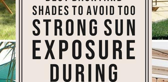 Common mistakes to avoid when using sun shades sun shades for gardens Common mistakes to avoid when using sun shades sun shades for gardens