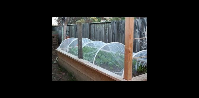 Common mistakes to avoid when using tulle tulle for gardening Common mistakes to avoid when using tulle tulle for gardening