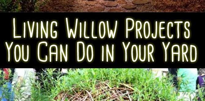 Common mistakes to avoid when using willow willow structures for gardens Common mistakes to avoid when using willow willow structures for gardens