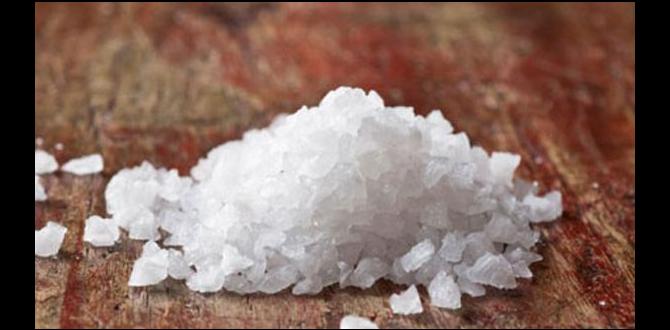 Common mistakes to avoid with aluminum sulfate aluminum sulfate for gardening Common mistakes to avoid with aluminum sulfate aluminum sulfate for gardening