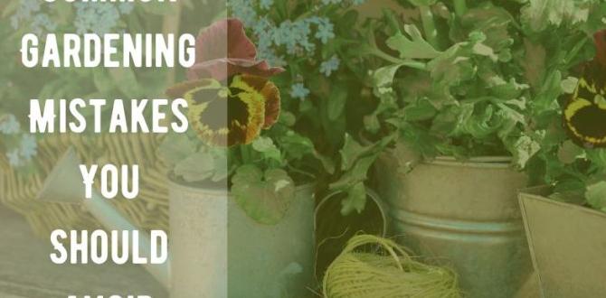 Common mistakes to avoid with de in gardens de for gardens Common mistakes to avoid with de in gardens de for gardens