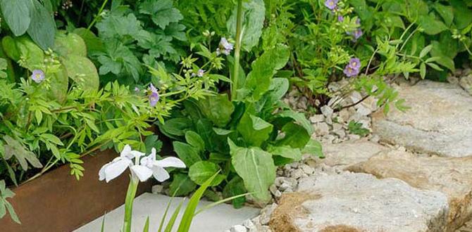 Common mistakes to avoid with metal edging metal edging for gardens Common mistakes to avoid with metal edging metal edging for gardens