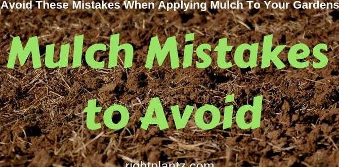 Common mistakes to avoid with natural mulch natural mulch for gardens Common mistakes to avoid with natural mulch natural mulch for gardens