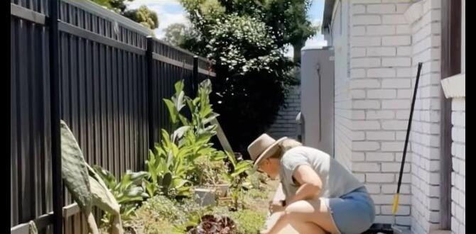 Common mistakes to avoid with trellis designs trellis designs for gardens Common mistakes to avoid with trellis designs trellis designs for gardens