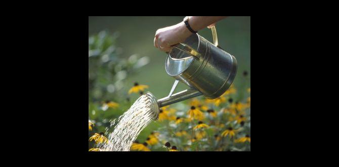 Common mistakes to avoid with watering devices watering devices for gardens Common mistakes to avoid with watering devices watering devices for gardens
