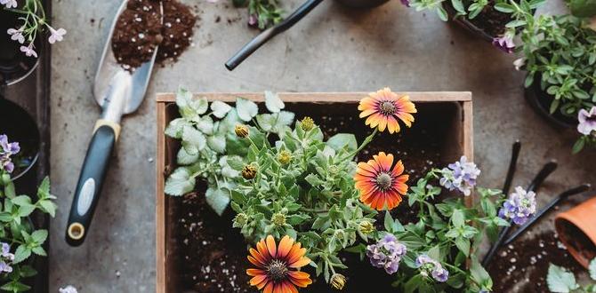 Common mistakes when identifying your gardening zone what zone am i in for gardening Common mistakes when identifying your gardening zone what zone am i in for gardening