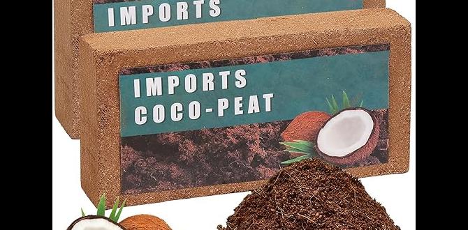 Common myths about coconut bricks coconut bricks for gardening