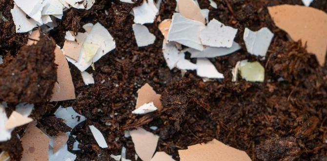 Common myths about eggshells in gardening are eggshells good for gardens Common myths about eggshells in gardening are eggshells good for gardens