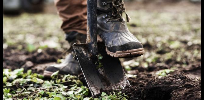 Common nutrient deficiencies detected by soil test kits soil test kits for gardens Common nutrient deficiencies detected by soil test kits soil test kits for gardens