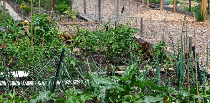 Common pests and problems in vegetable gardening best vegetables for gardening Common pests and problems in vegetable gardening best vegetables for gardening