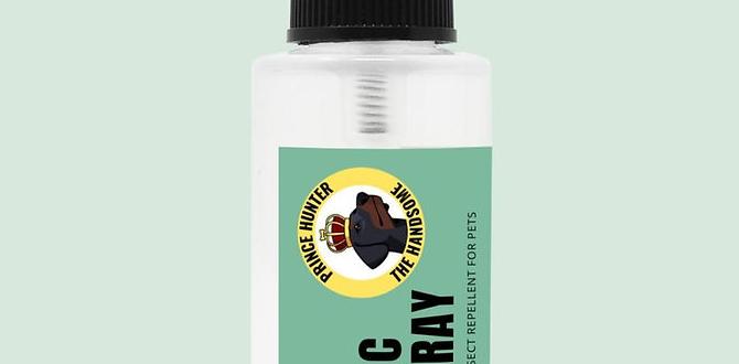 Common pests targeted by organic bug sprays organic bug spray for gardens Common pests targeted by organic bug sprays organic bug spray for gardens
