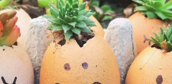 Common plants that benefit from egg shells egg shells for gardens