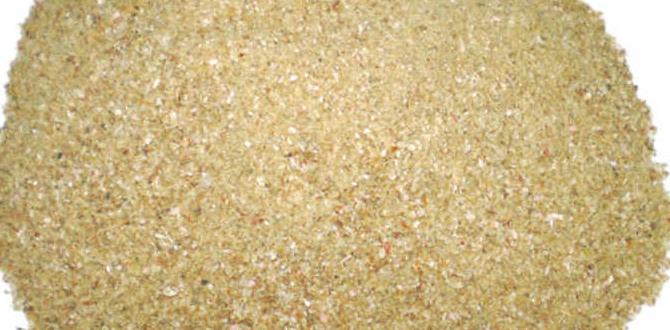 Common plants that thrive with bone meal bone meal for gardening Common plants that thrive with bone meal bone meal for gardening