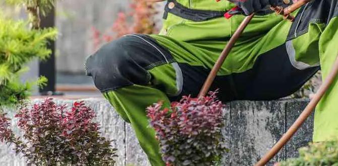 Common problems and solutions drip systems for gardens