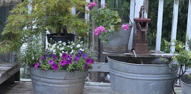 Common problems and solutions with steel tubs steel tubs for gardening Common problems and solutions with steel tubs steel tubs for gardening