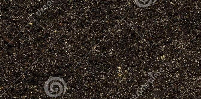 Common problems with soil mixtures clay sand and silt mixture good for gardening crossword