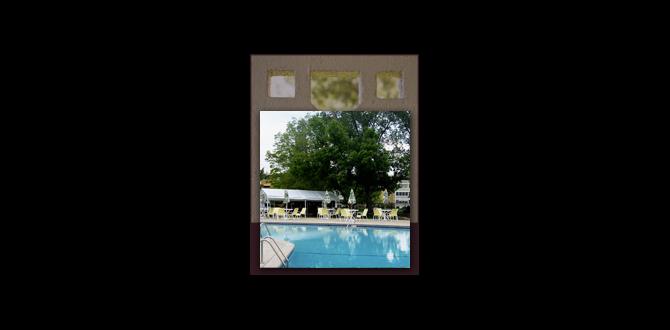 Community amenities windsor gardens denver for rent Community amenities windsor gardens denver for rent
