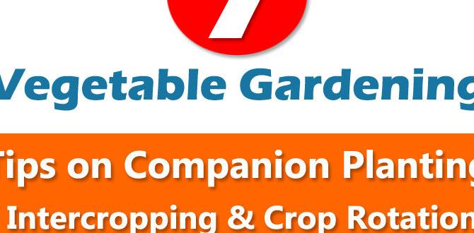 Companion planting and crop rotation gardening for self sufficiency Companion planting and crop rotation gardening for self sufficiency