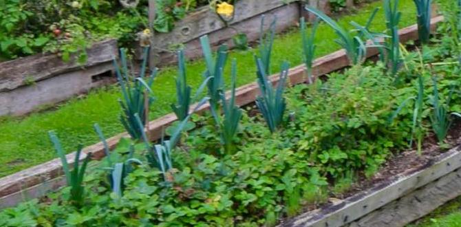 Companion planting in raised beds vegetables for raised beds gardening Companion planting in raised beds vegetables for raised beds gardening