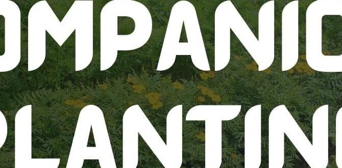 Companion planting strategies deer repellent for gardens