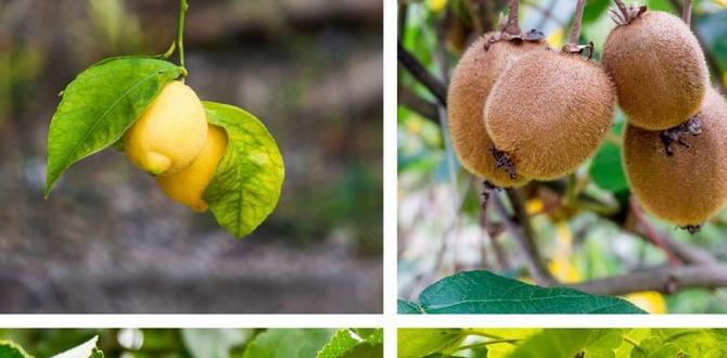 Companion planting with fruit plants fruit plants for small gardens