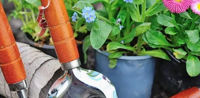 Companion planting with herbs herbs for small gardens Companion planting with herbs herbs for small gardens