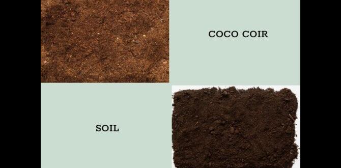Comparative analysis: coconut coir vs other soil alternatives coconut coir for gardening Comparative analysis: coconut coir vs other soil alternatives coconut coir for gardening