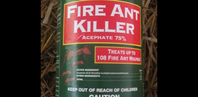 Comparative analysis of popular fire ant killers fire ant killer safe for vegetable gardens Comparative analysis of popular fire ant killers fire ant killer safe for vegetable gardens