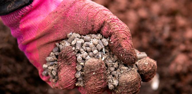 Comparative analysis with other fertilizers is chicken manure good for vegetable gardens