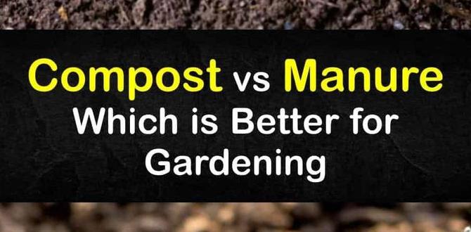 Comparing composted manure to other fertilizers is composted manure safe for vegetable gardens Comparing composted manure to other fertilizers is composted manure safe for vegetable gardens