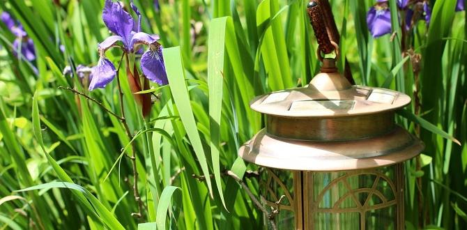 Comparing copper to other metals in gardening copper for gardening Comparing copper to other metals in gardening copper for gardening