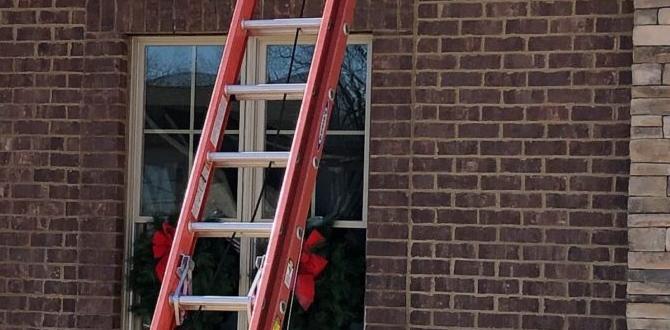 Comparing costs and diy vs professional installation border bricks for gardens