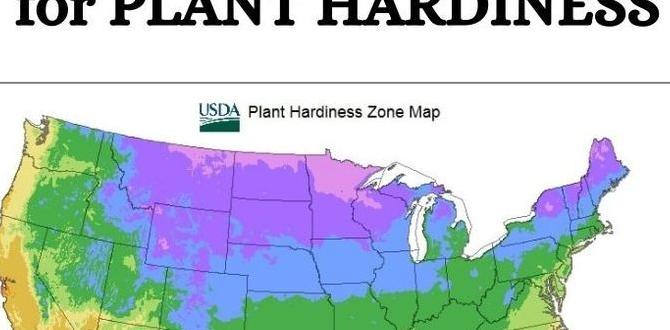 Comparing different usda zones us zones for gardening
