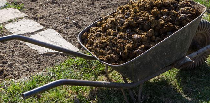Comparing horse manure to other manure types is horse manure good for vegetable gardens Comparing horse manure to other manure types is horse manure good for vegetable gardens