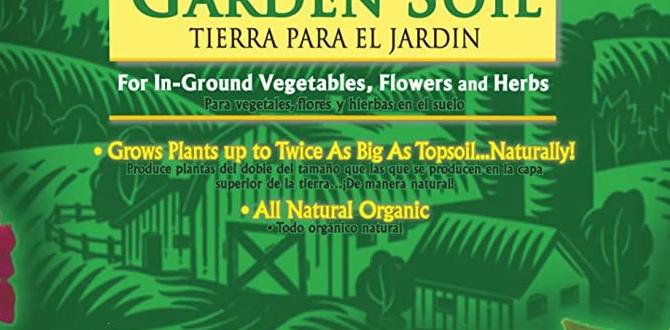 Comparing miraclegro with organic fertilizers miracle gro for vegetable gardens Comparing miraclegro with organic fertilizers miracle gro for vegetable gardens