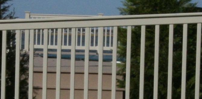 Comparing plastic fences with other garden fencing options plastic fences for gardens Comparing plastic fences with other garden fencing options plastic fences for gardens